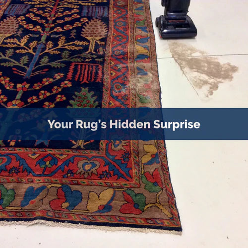 The Dirty Down-low on Rugs (And Why You Need to Get Them Professionally Cleaned)